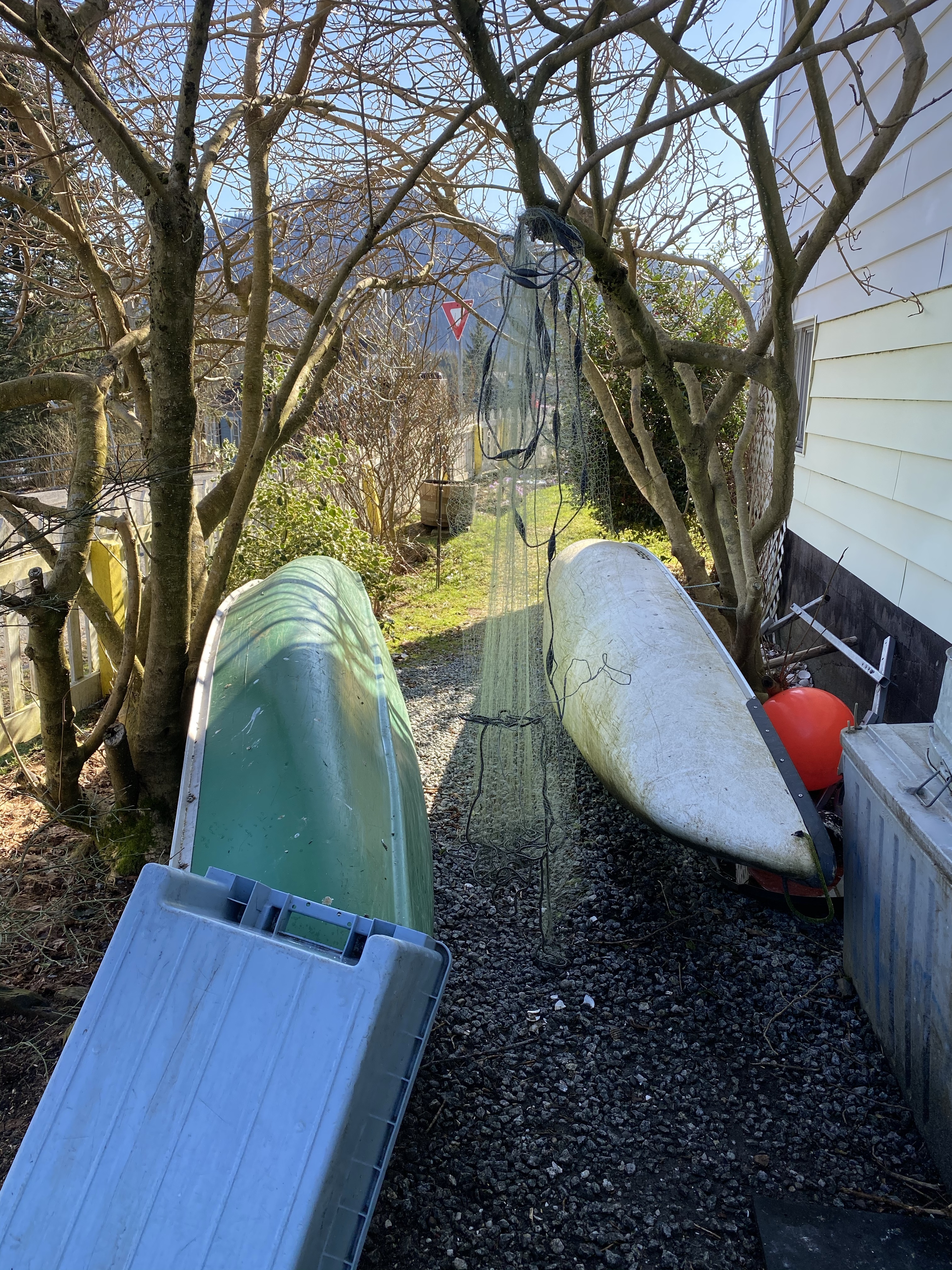 Two boats on the ground and A net hanging on the tree