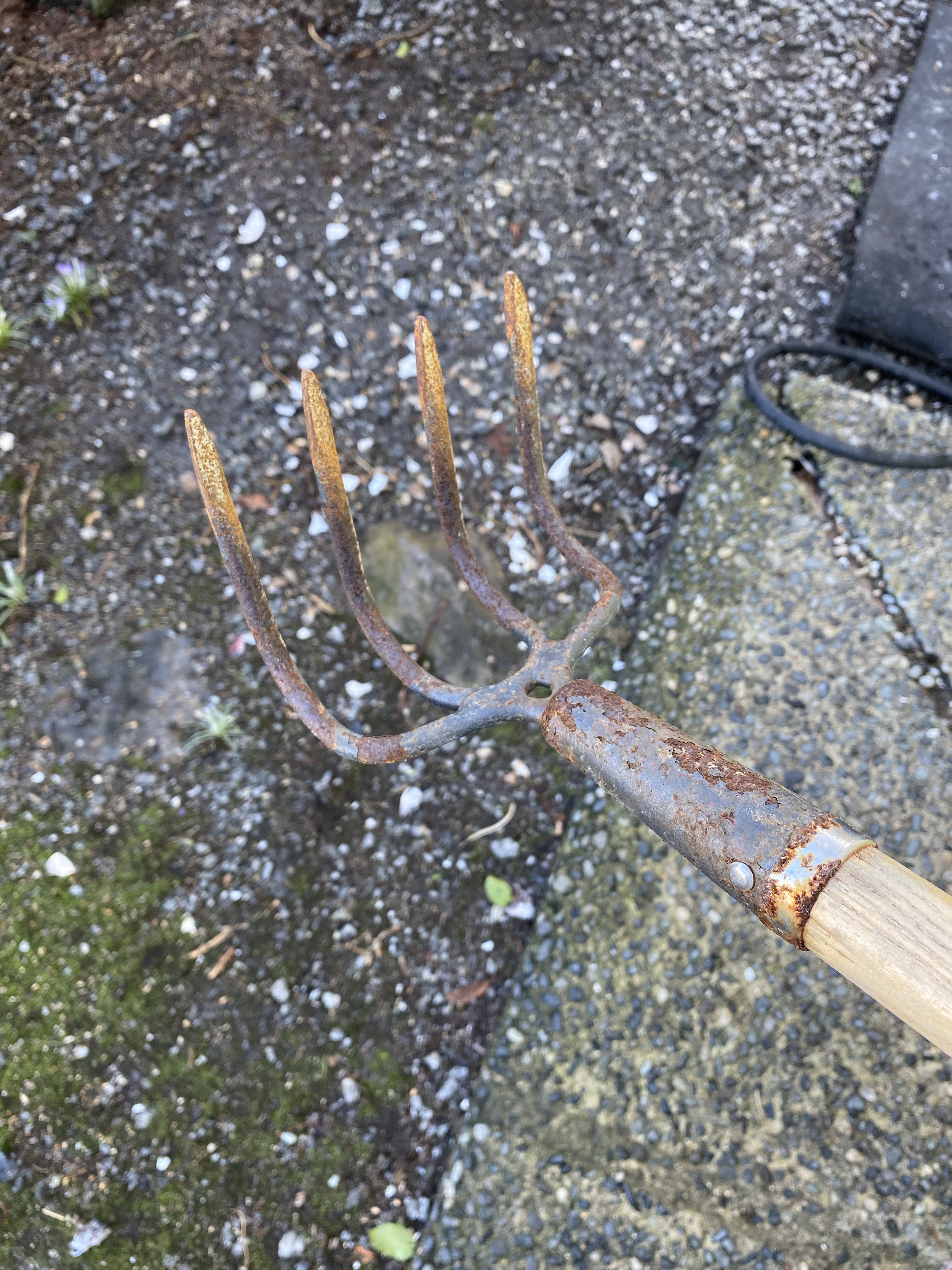 a fork on the ground