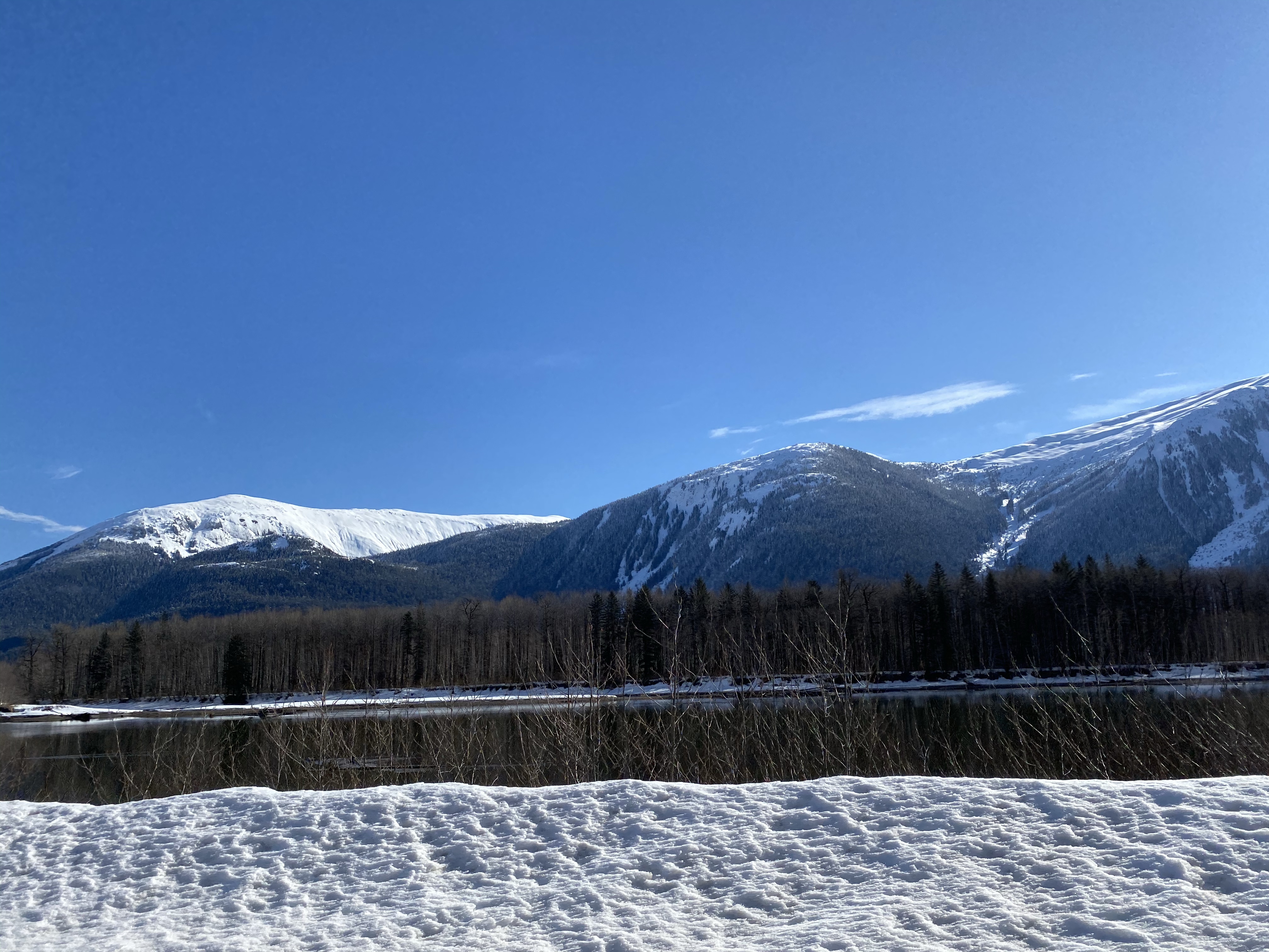 The Skeena river and the mountain