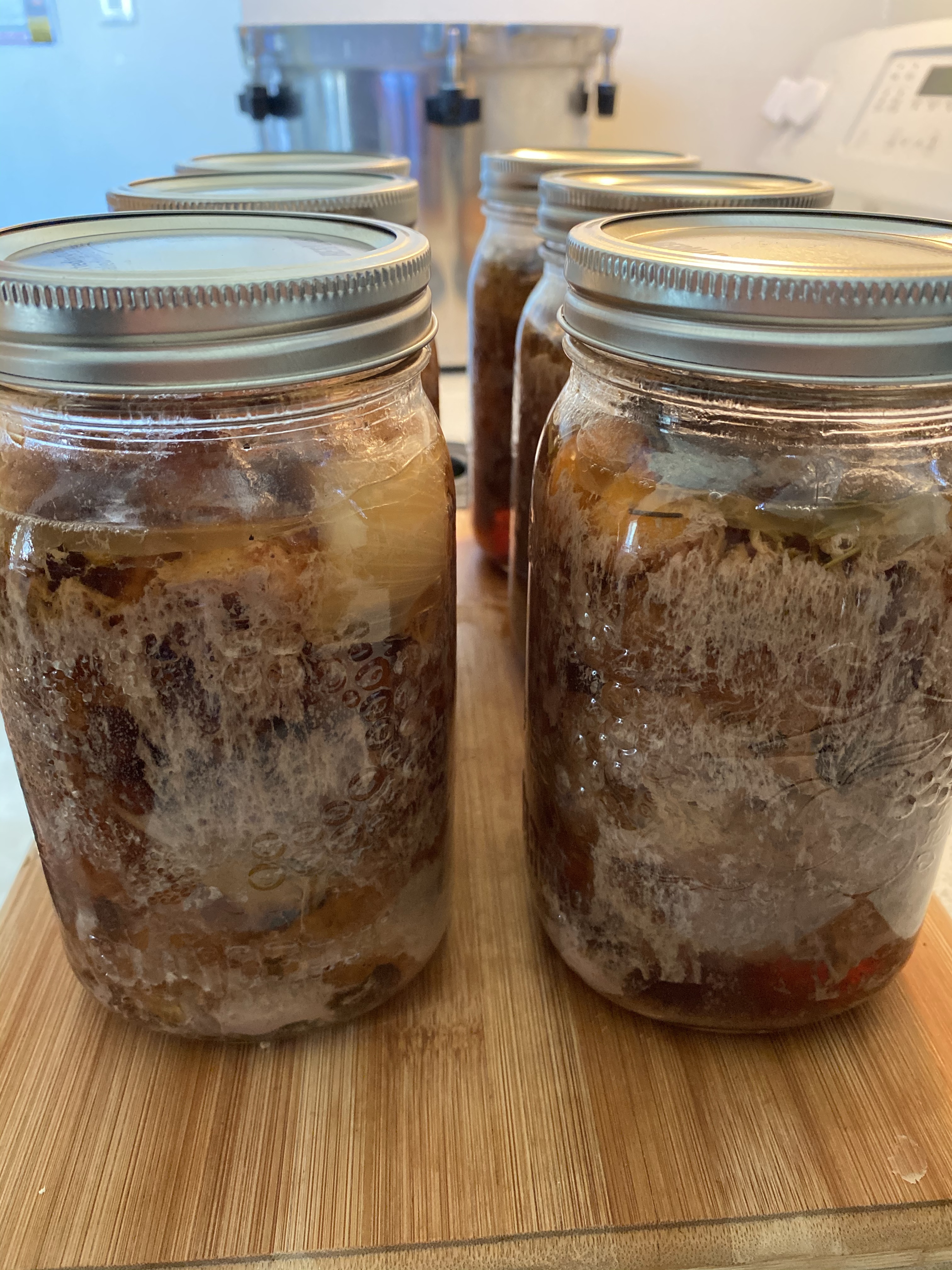 inta samiim wa̱n - canned/jarred deer meat