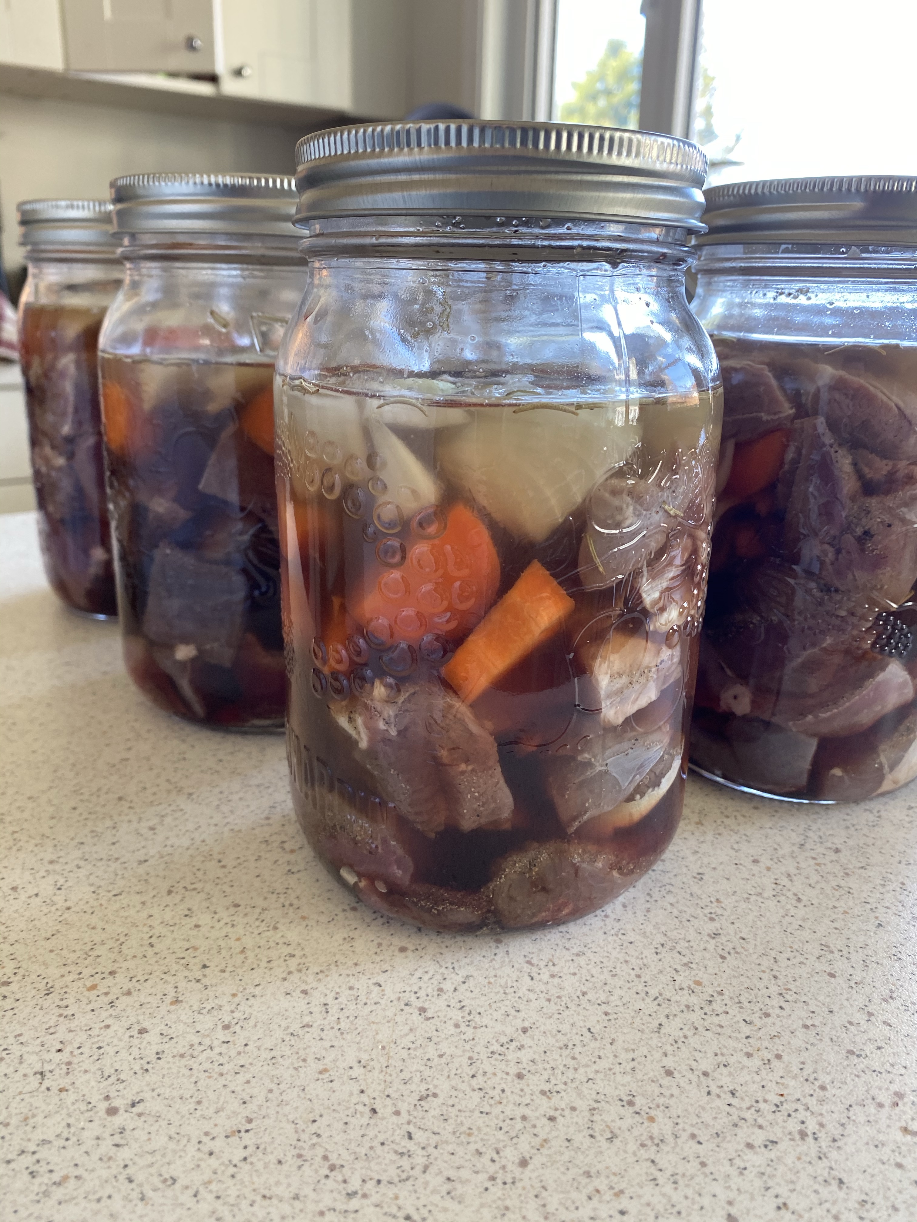 jarred wan/deer with vegetables