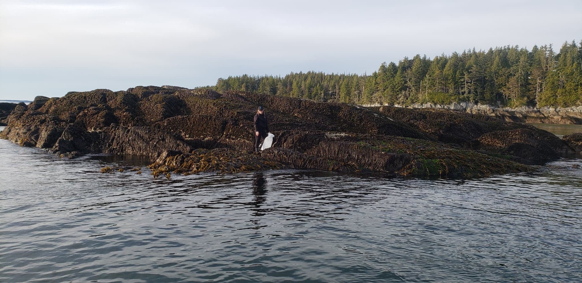 lady holding white bag standing on rocky terrain covered in seaweed