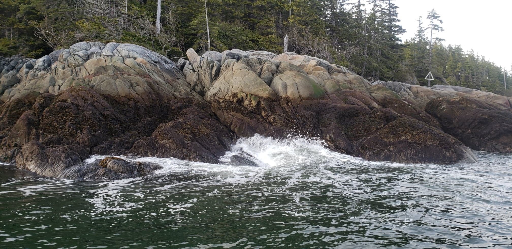 rocky terrian covered in black seaweed