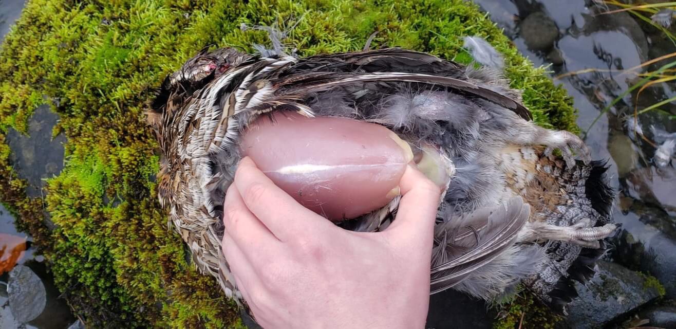 a person cleaning the ma̱xmeex