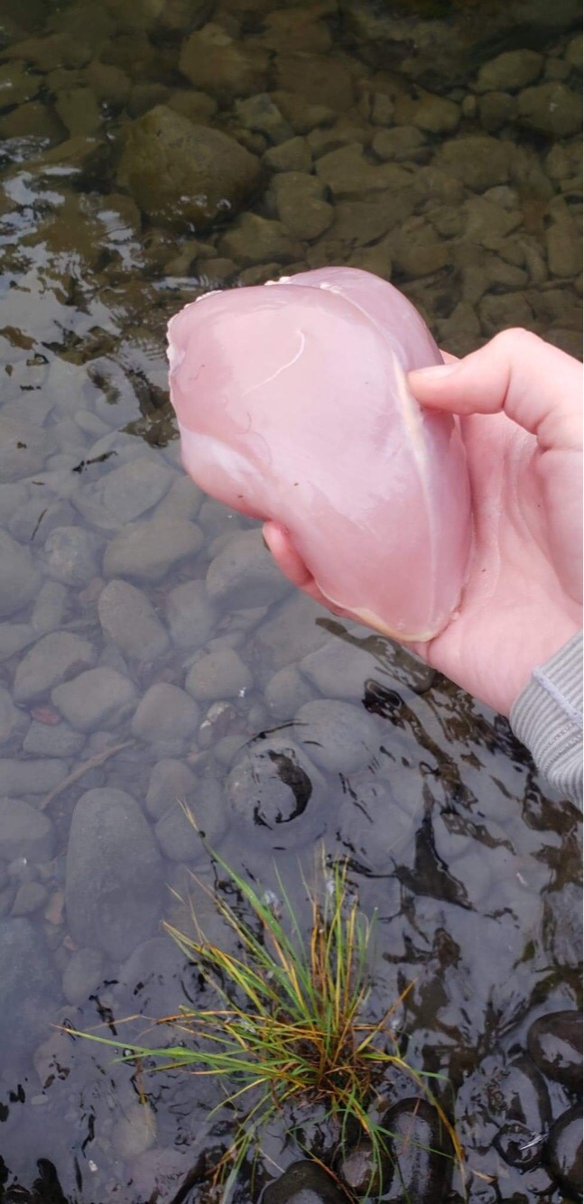 a person grabbing a meat