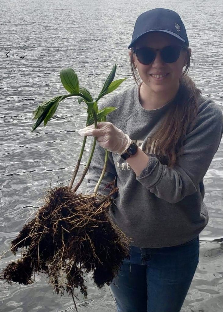 Young lady holding a dug up huułens plant