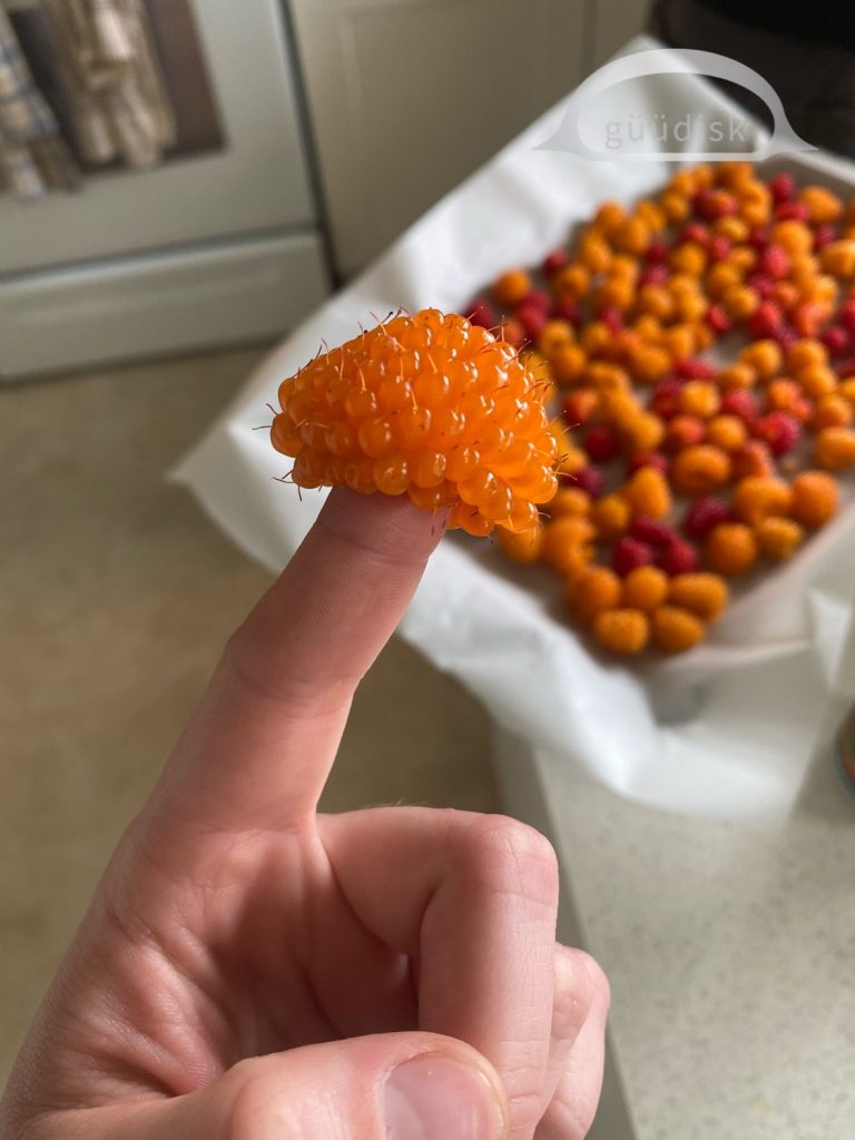 A person holding a salmon berry