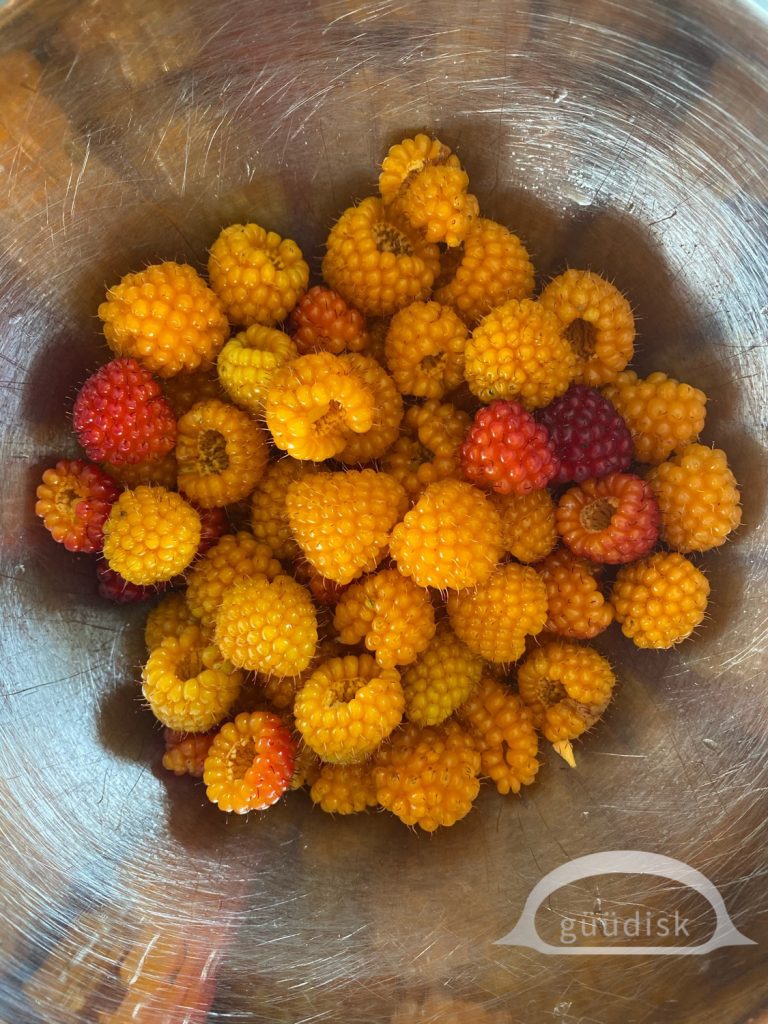 Many ma̱ḵ'ooxs in a metal bowl