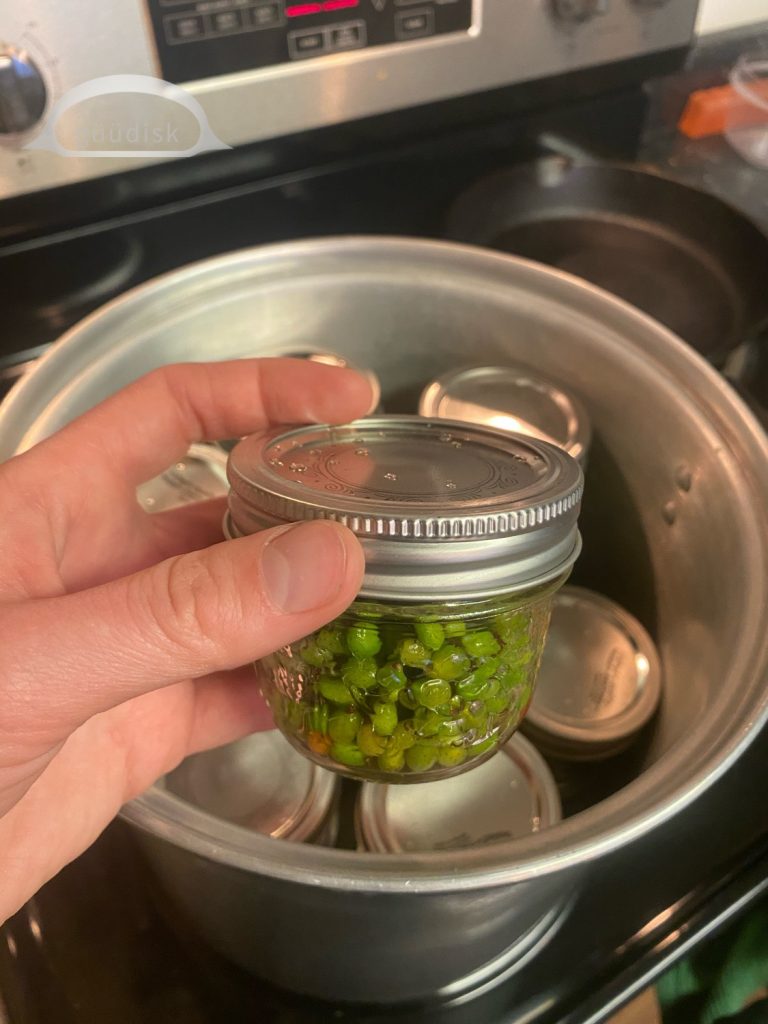 soapberries in jar with lid