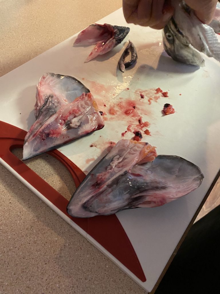 Butterflied fish heads for the fish stock